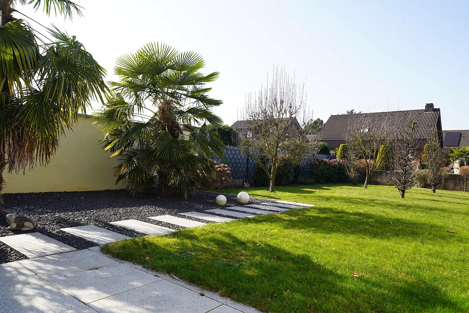 Gartenweg mit Palmen